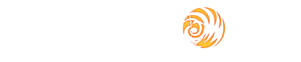 Wildstorm studios logo white large